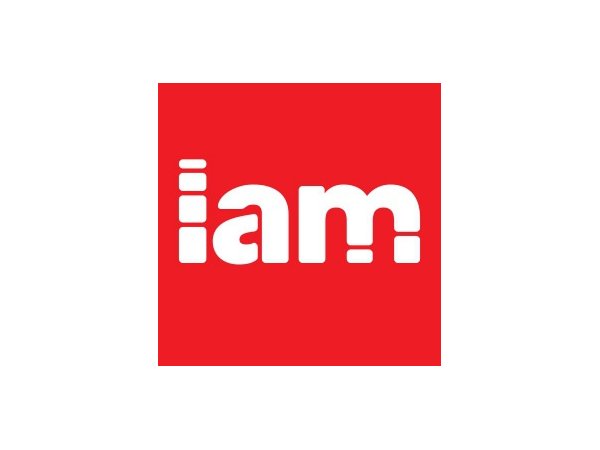 Воблеры IAM company
